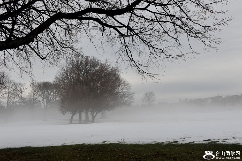 DSC_6620-1.jpg