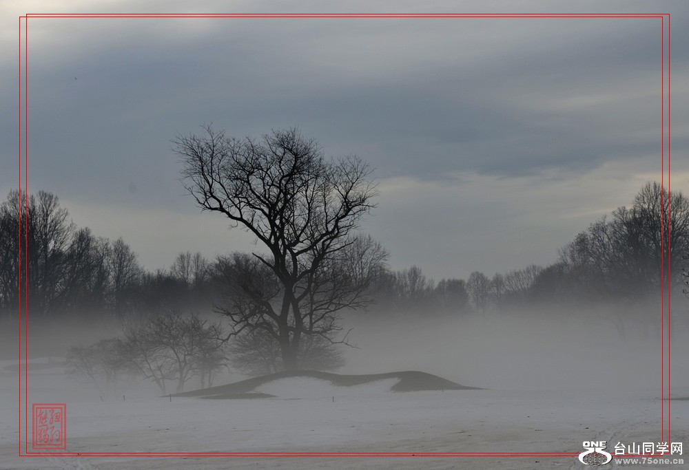 DSC_6651-1.jpg