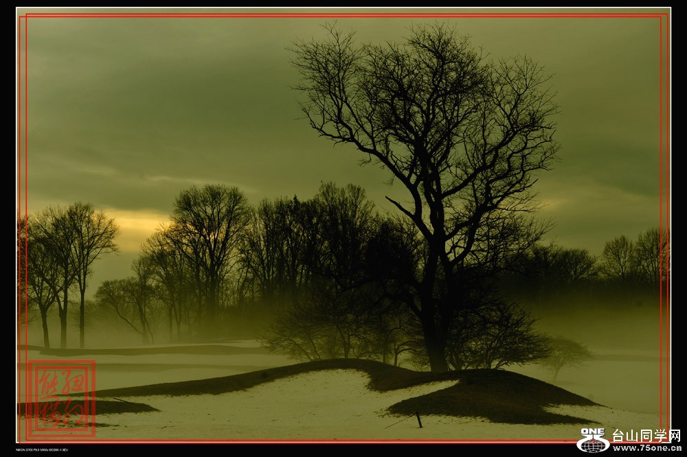 DSC_6684-4.jpg