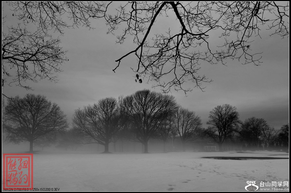 DSC_6536-1.jpg