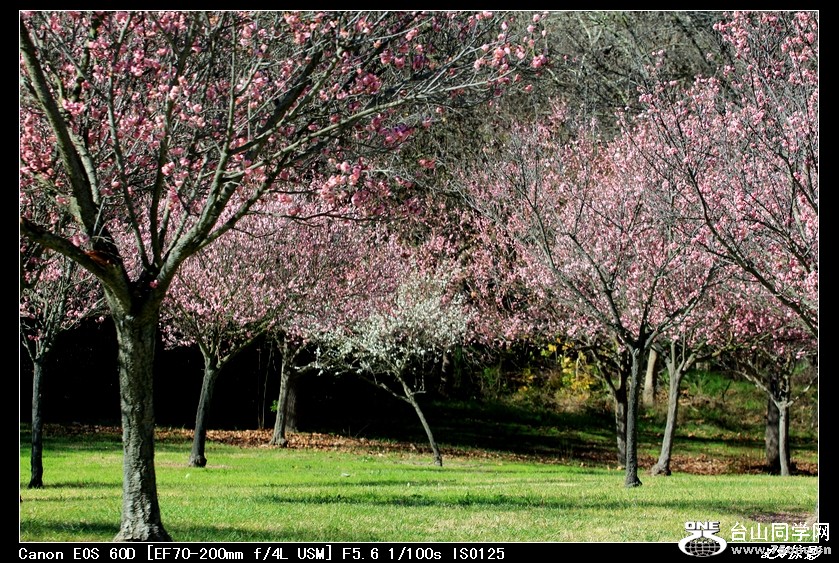 Picture 088[3.jpg