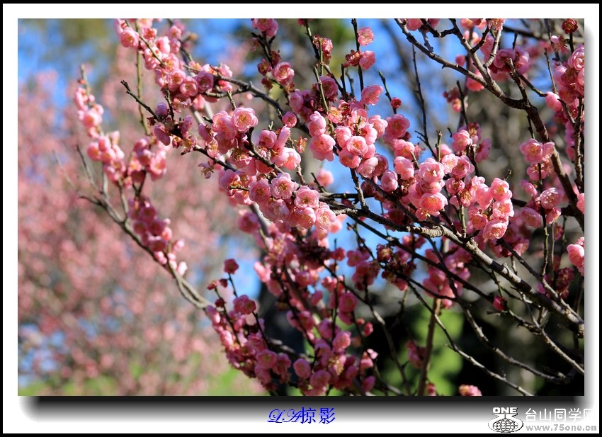 Picture 066-2.jpg