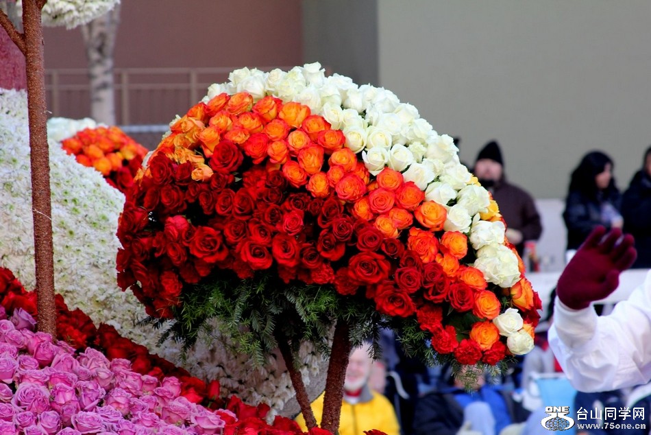 Picture 430.jpg