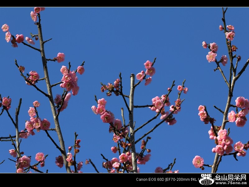Picture 069-2.jpg