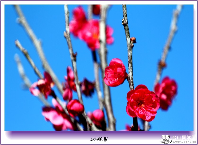 Picture 097-4.jpg