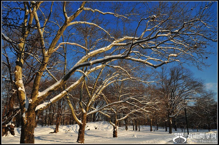 DSC_6366.JPG