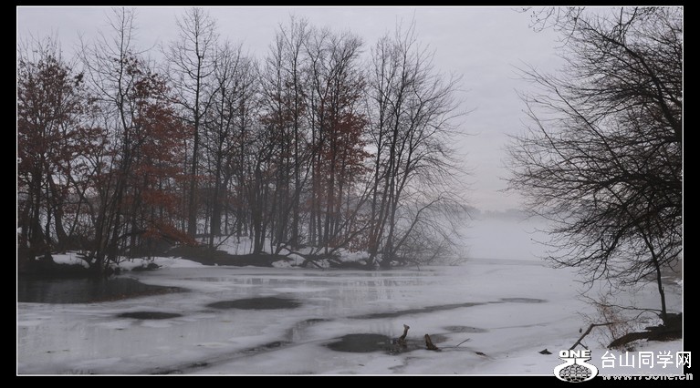 DSC_4954.JPG