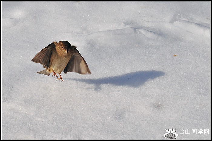 DSC_8385.JPG