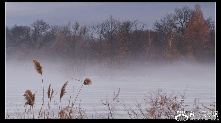 DSC_5482.JPG