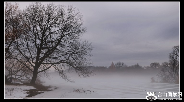 DSC_5411.JPG