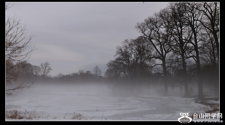 DSC_5387.JPG