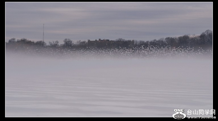 DSC_5515.JPG