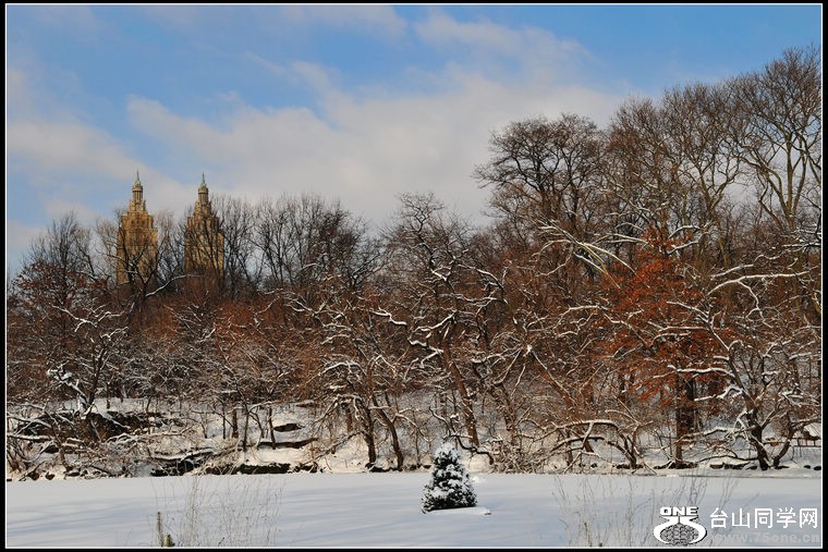 DSC_8008.JPG