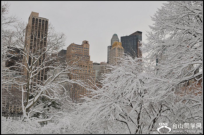 DSC_1563.JPG