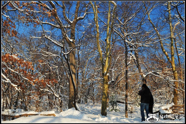 DSC_7450.JPG