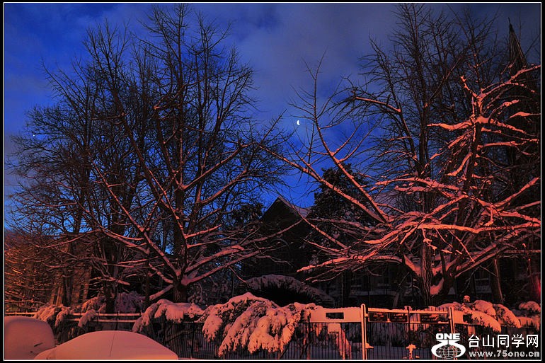 DSC_1342.JPG