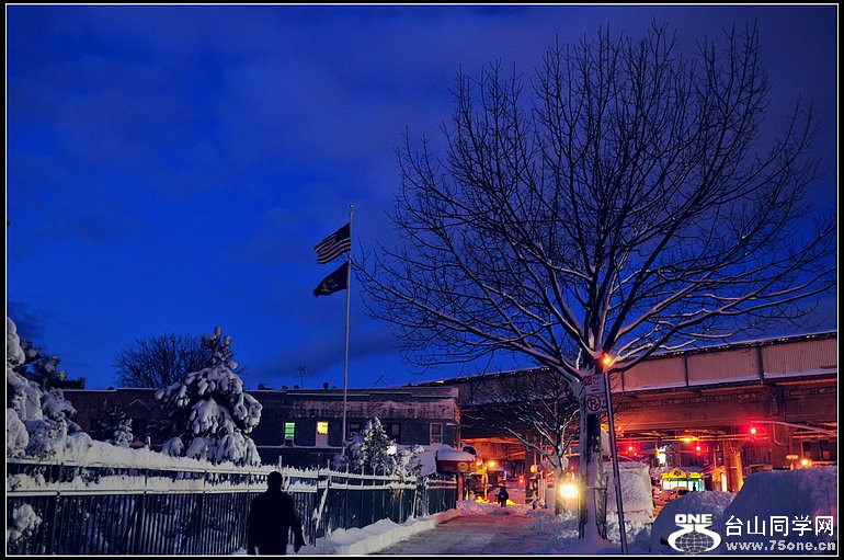 DSC_1370.JPG