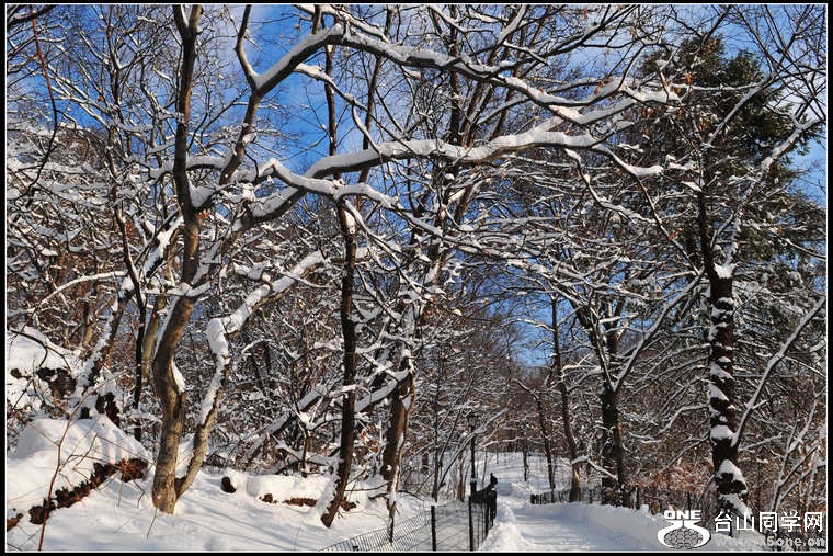 DSC_7972.JPG