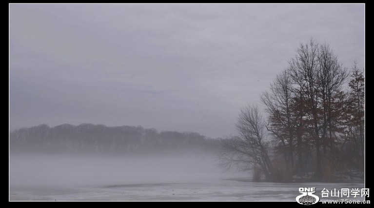 DSC_4950.JPG