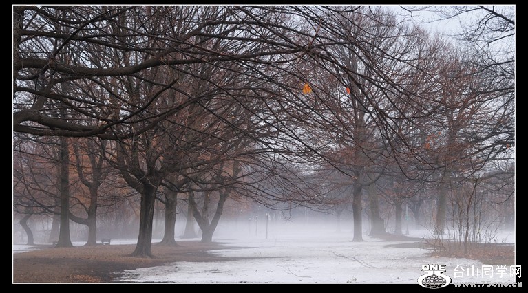 DSC_5012.JPG
