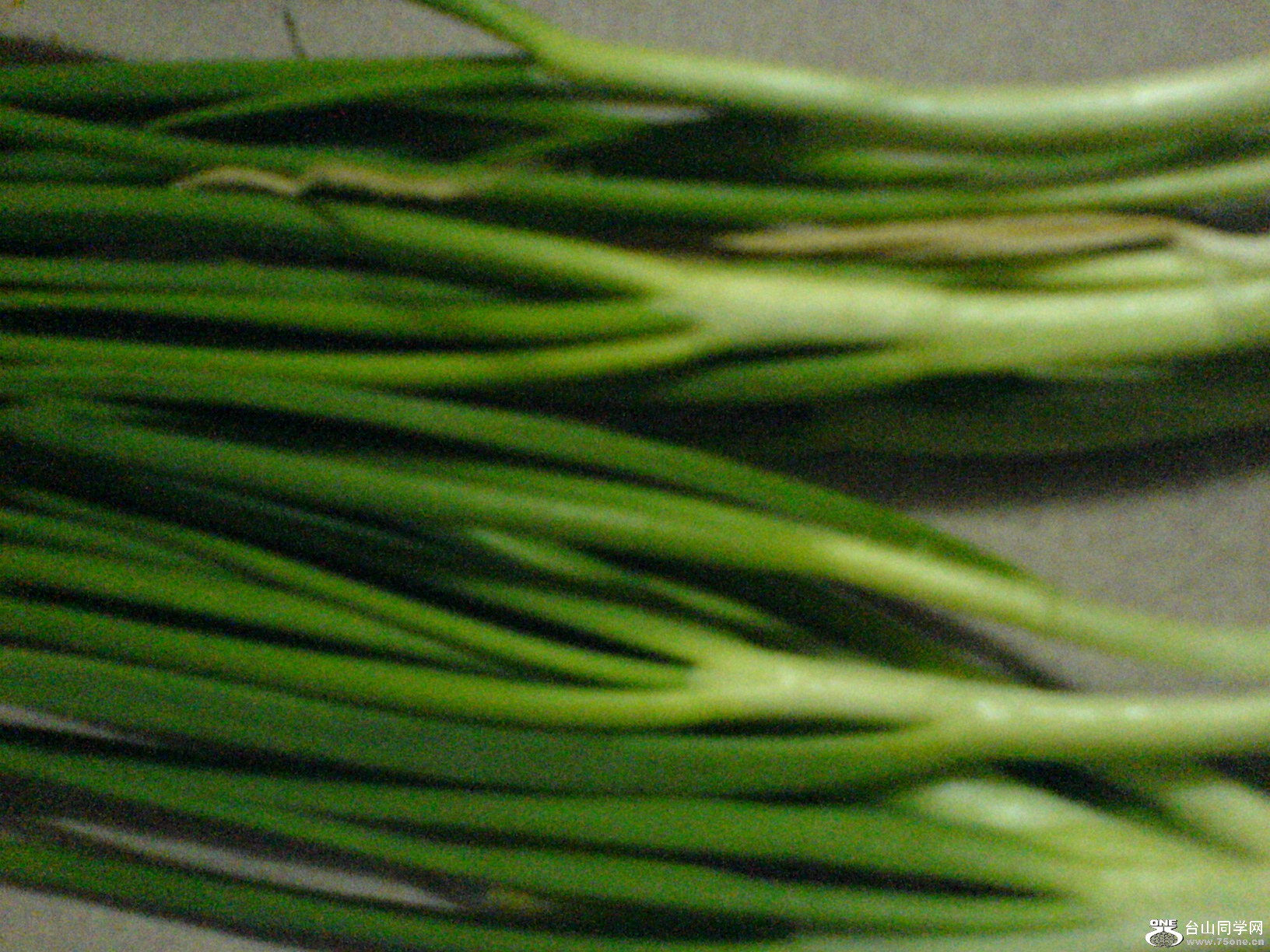 DSC05203.JPG