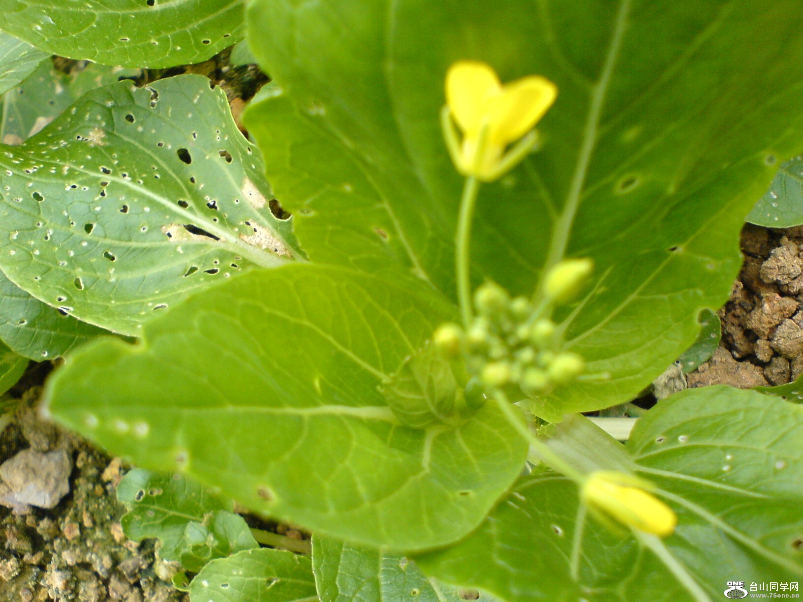 DSC05223.JPG