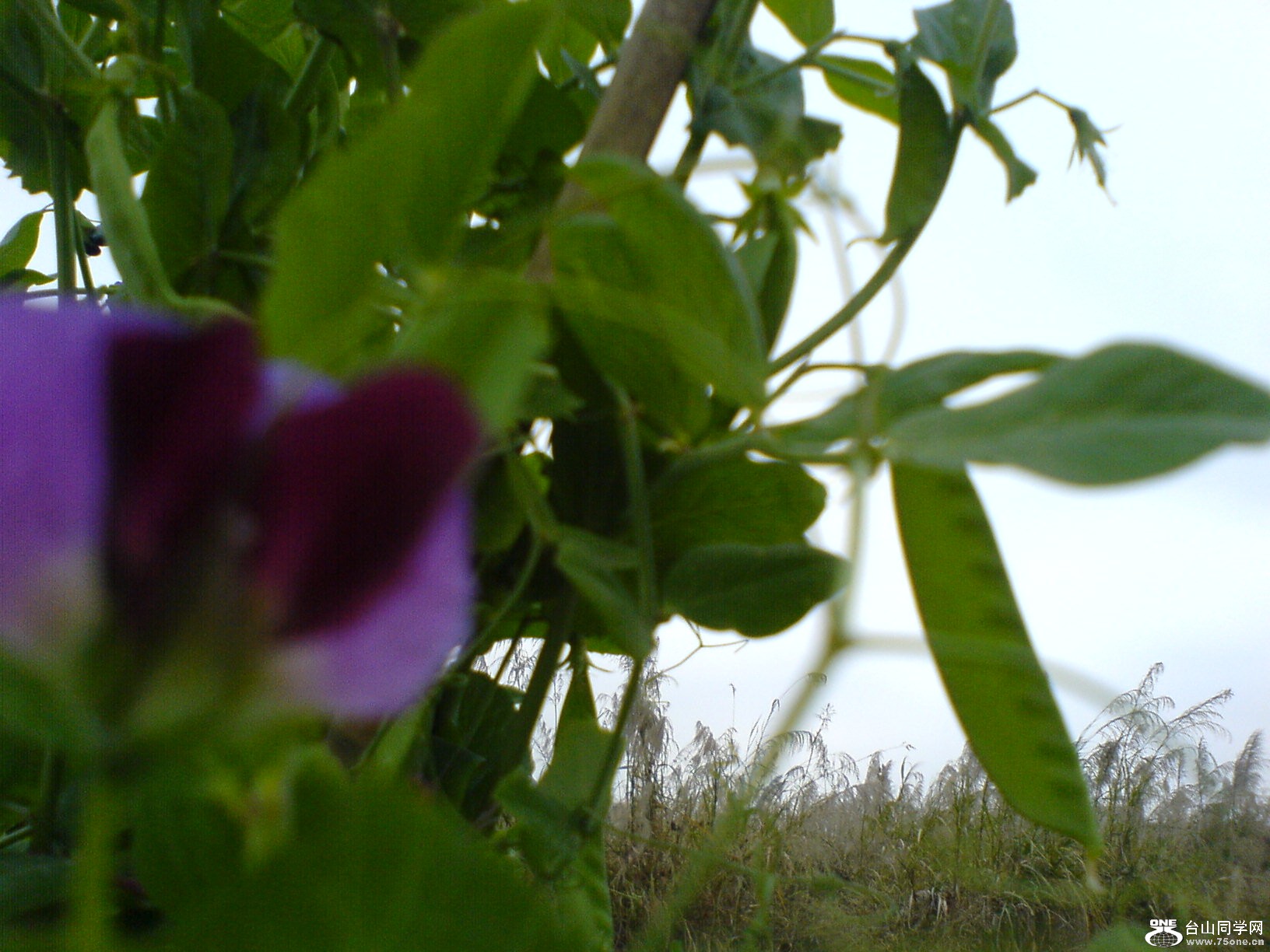 DSC05220.JPG