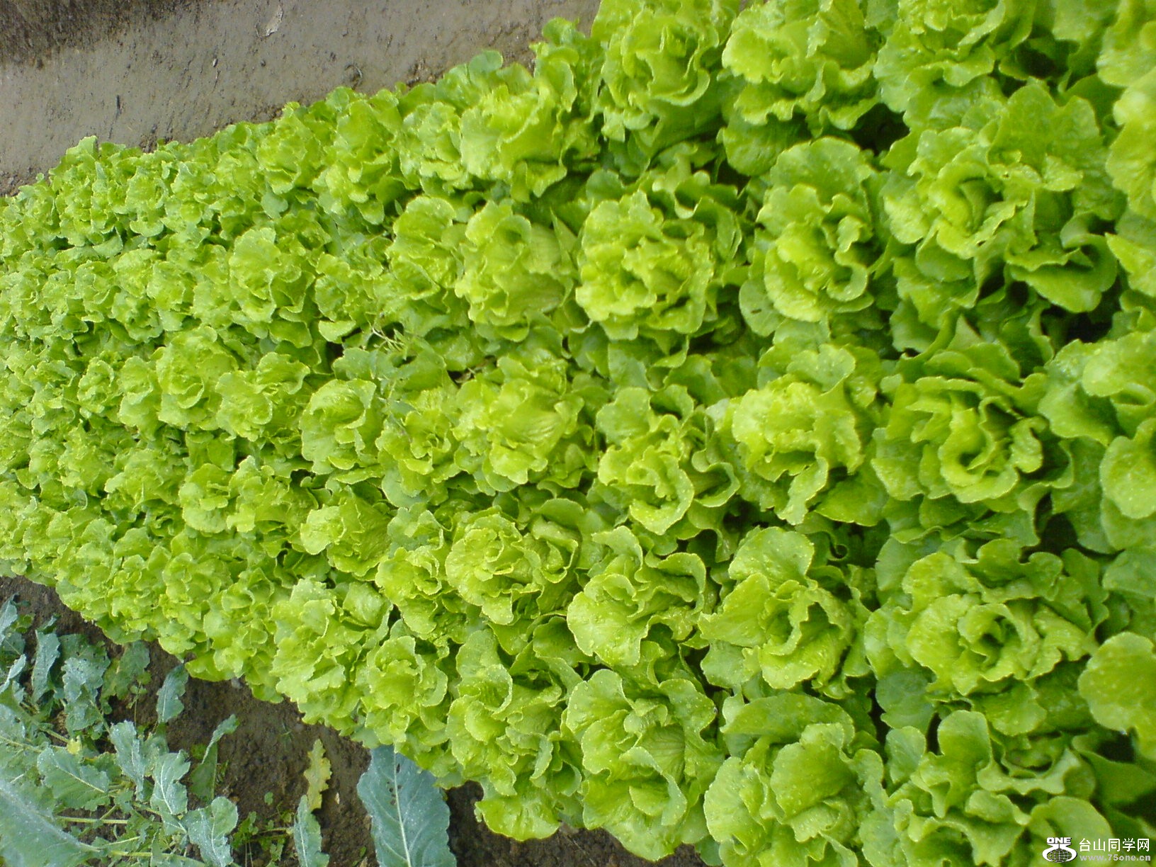 DSC05191.JPG