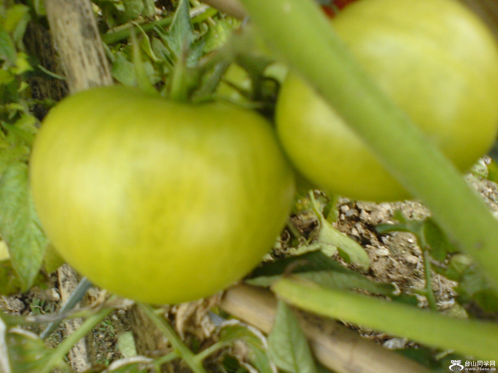 DSC05232.JPG