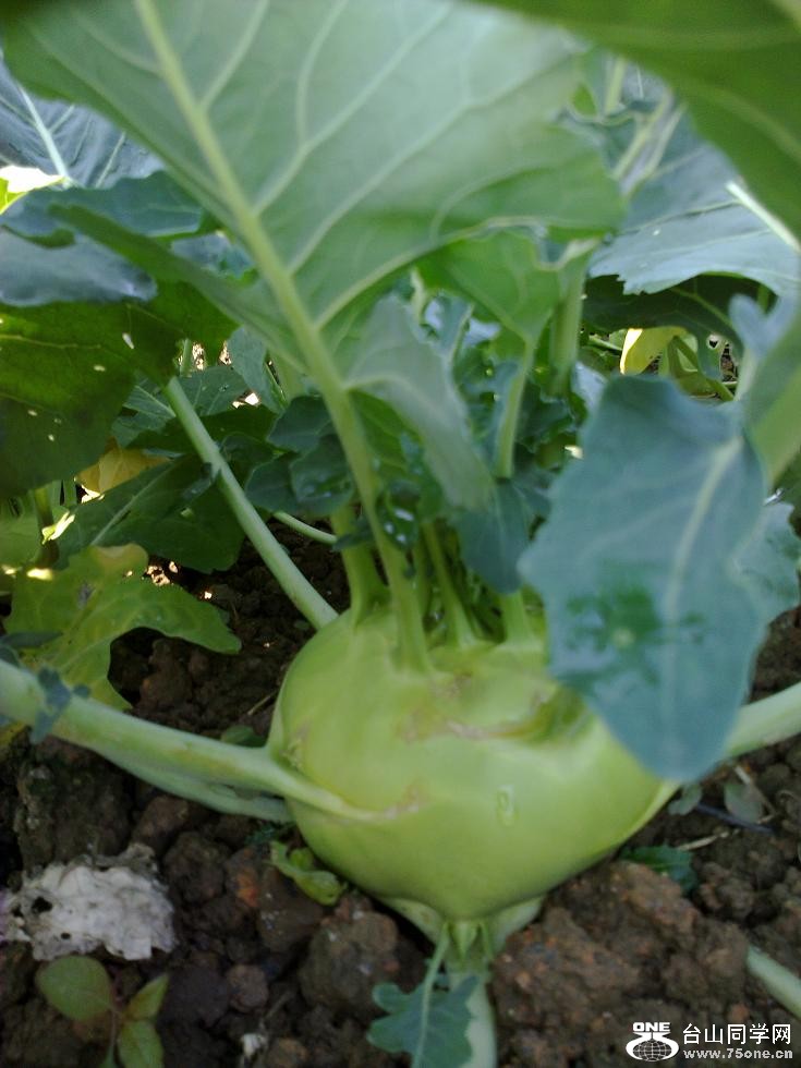 20110116015.jpg