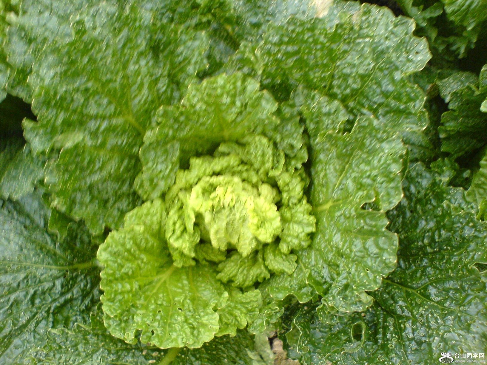 DSC05226.JPG