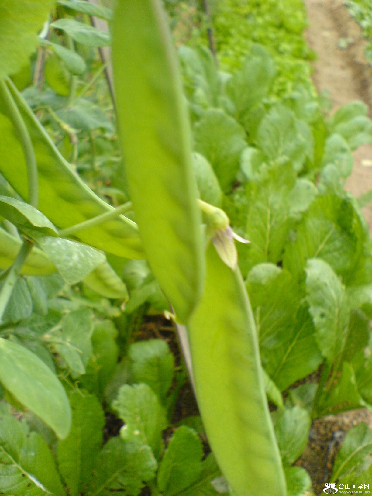 DSC05219.JPG