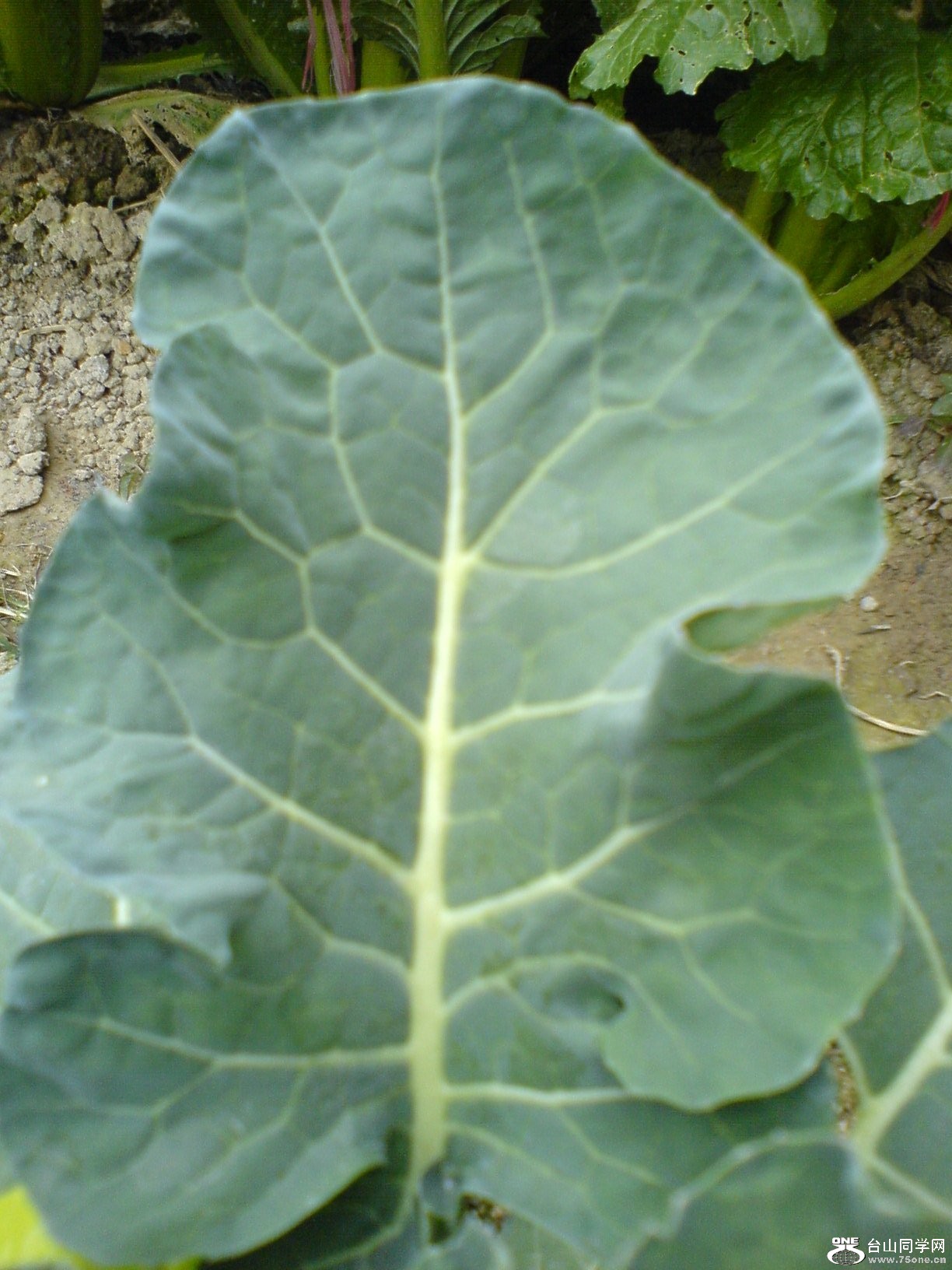 DSC05241.JPG
