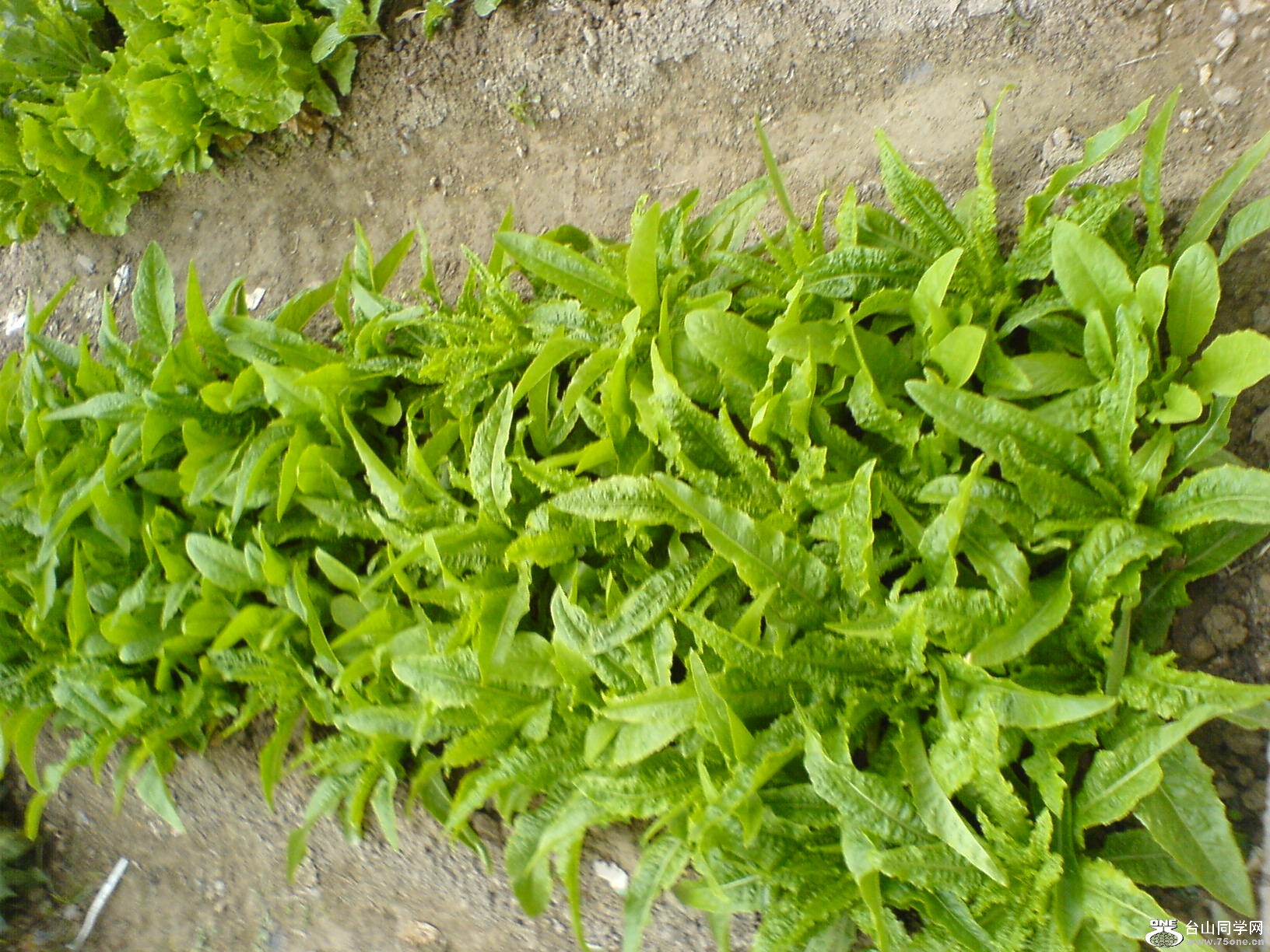 DSC05239.JPG