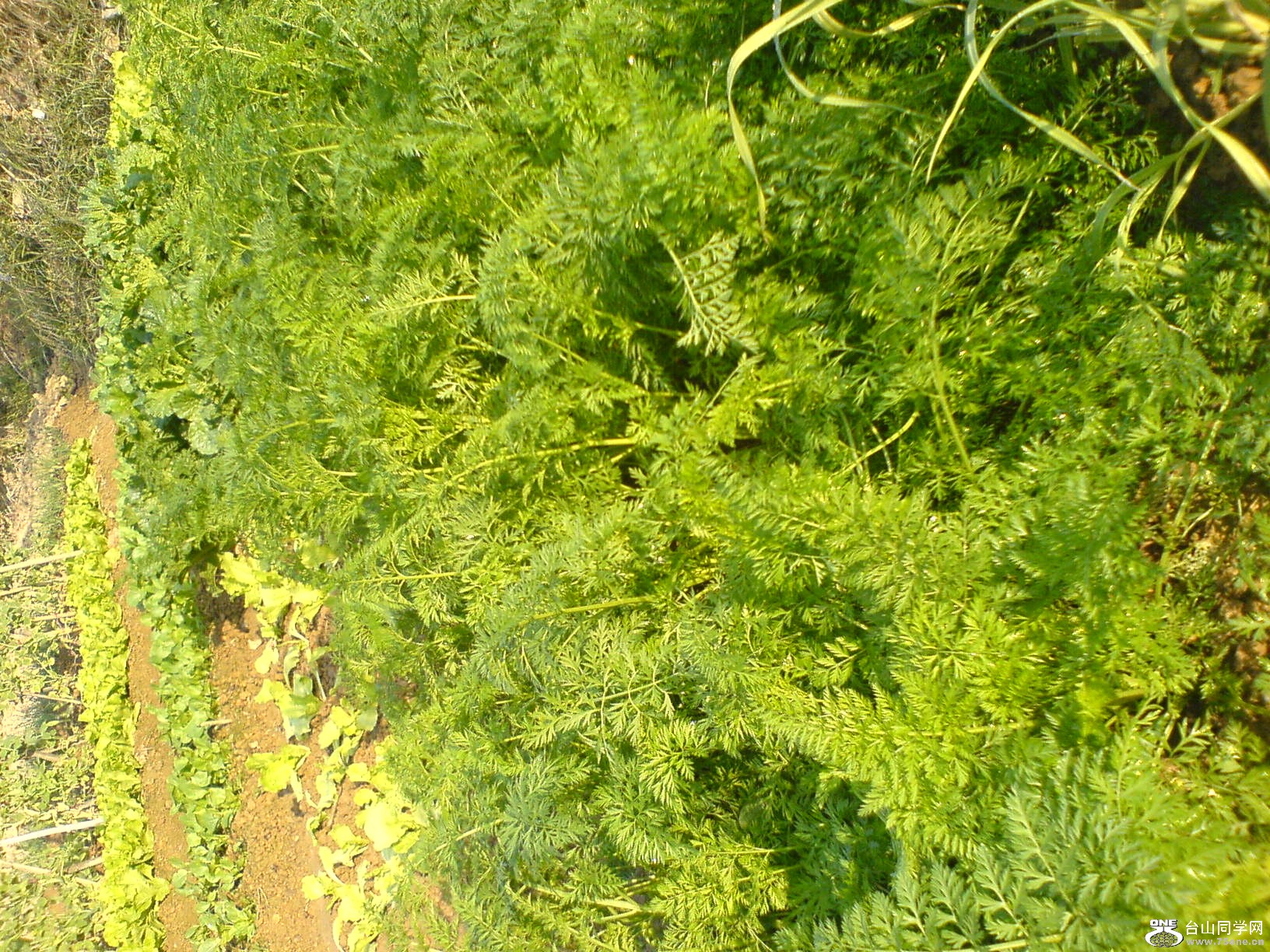 DSC05189.JPG