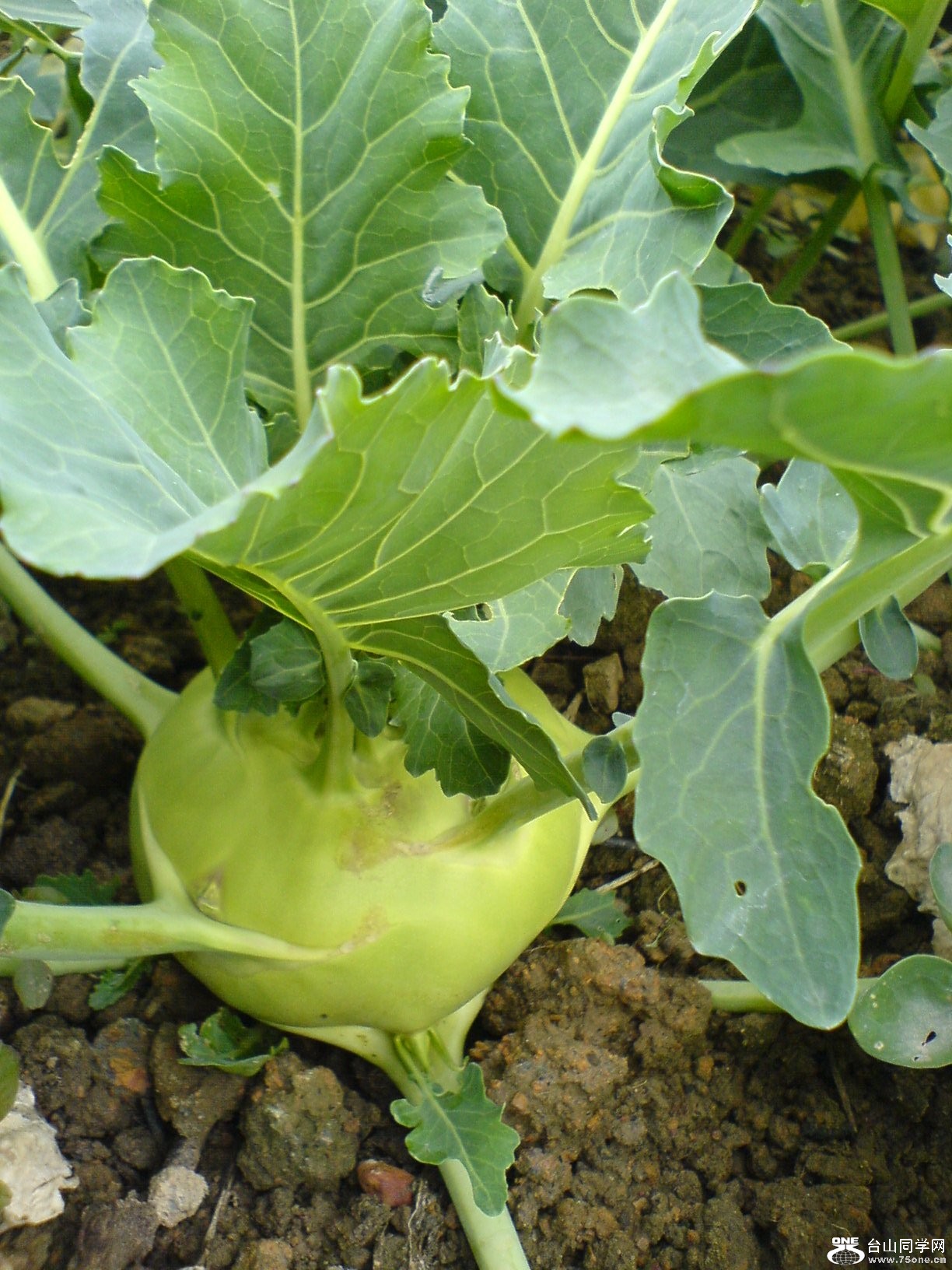 DSC05214.JPG
