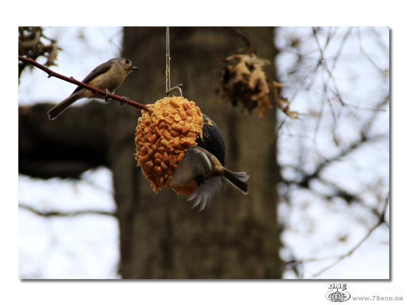 IMG_7784a.jpg