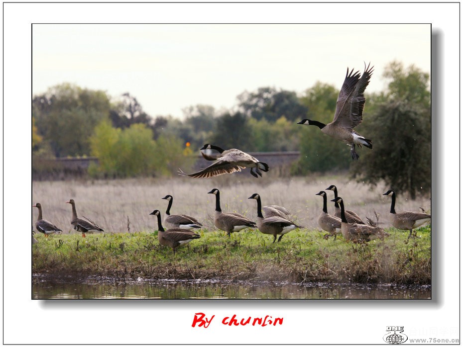 IMG_9342a.jpg
