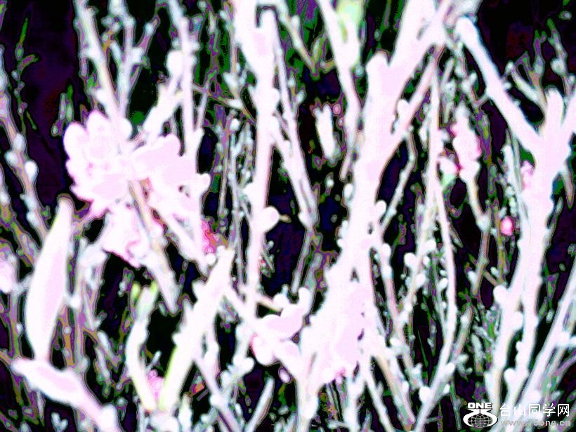 DSC_0189.JPG