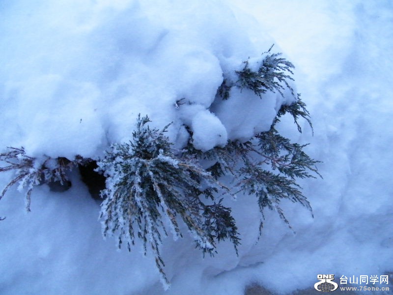 DSCF5778.JPG