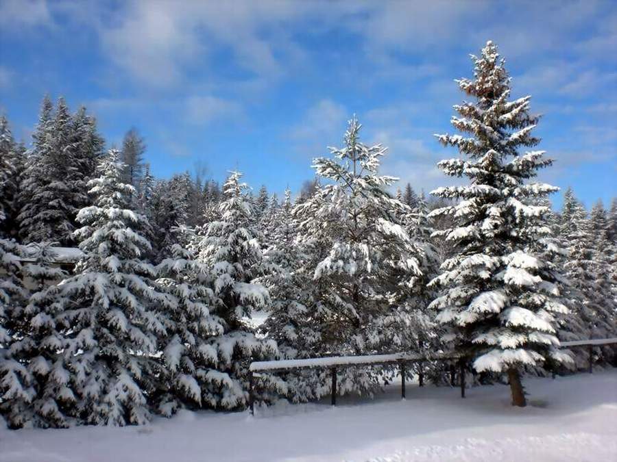 Ƭ 069.jpg