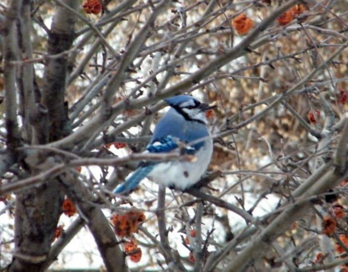 90_3812_745c10025c86e7a.jpg