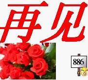 145486_6243762_39.jpg