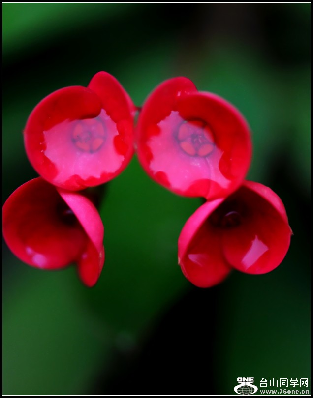 DSC_0691.JPG
