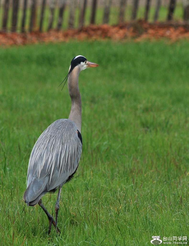 DSC_0176.JPG
