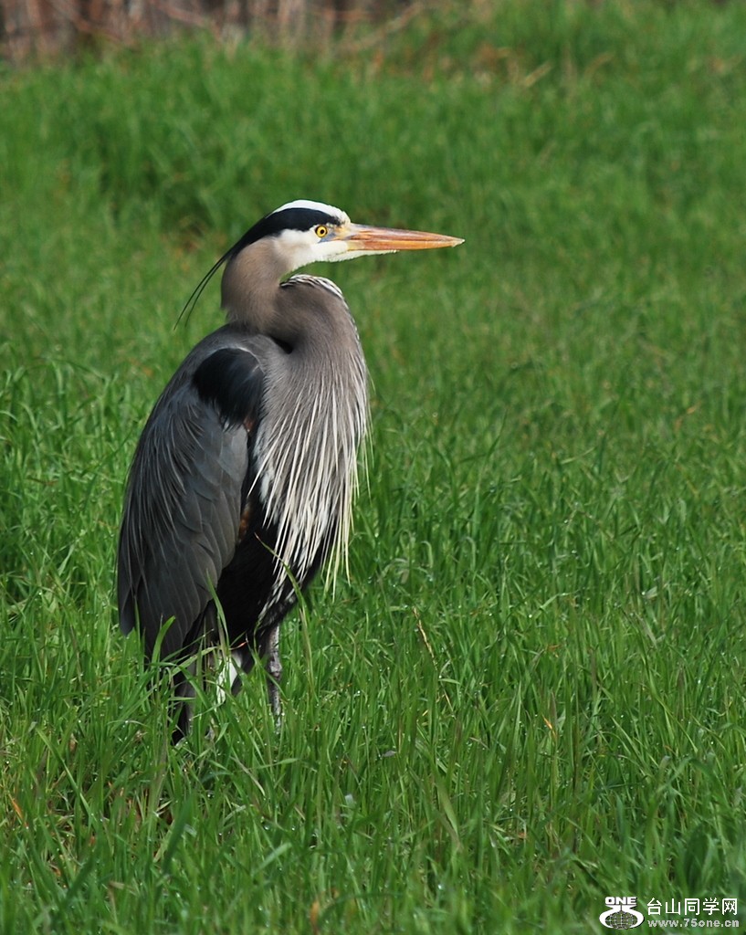 DSC_0024.JPG