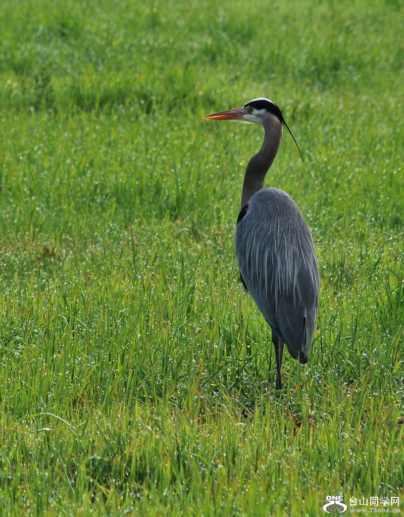 DSC_0120.JPG