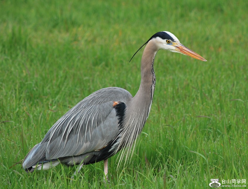 DSC_0215.JPG