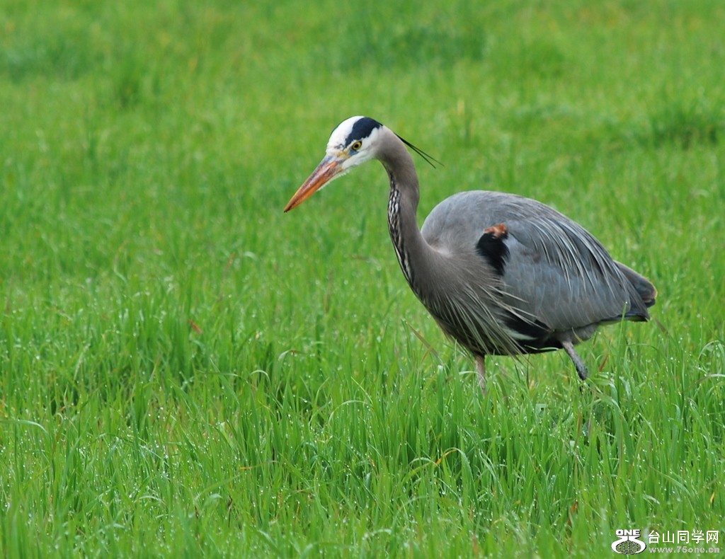 DSC_0142.JPG