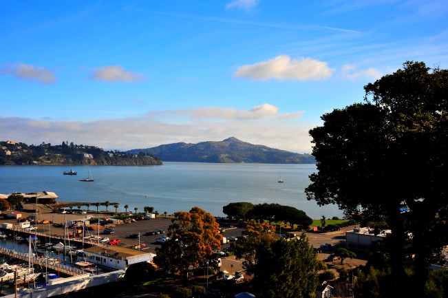 DSC_3983_conew1.jpg